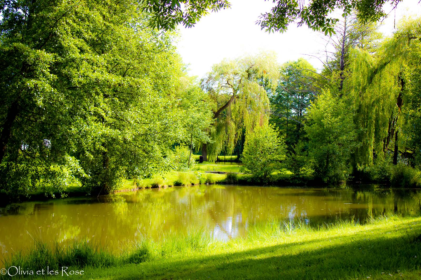Pirouette cacahuète au parc de Nozay (44)