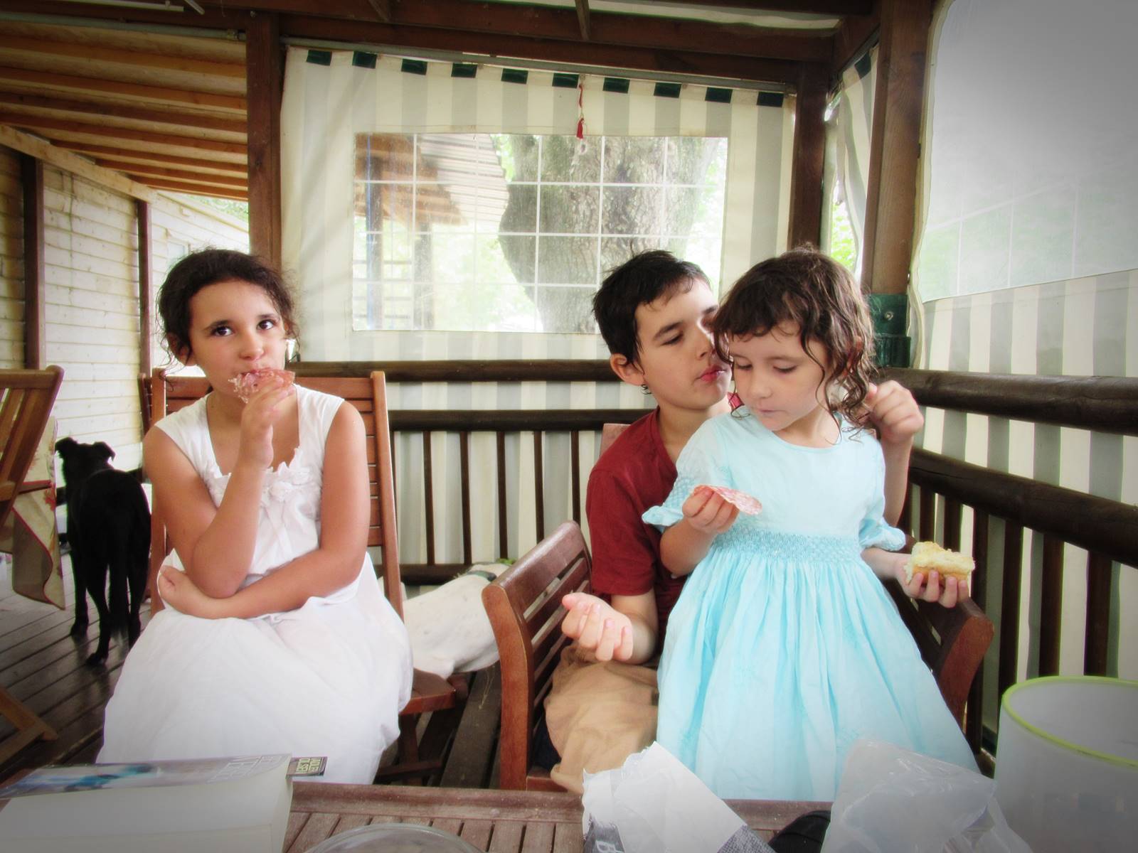 Camping viotterie mayenne 15