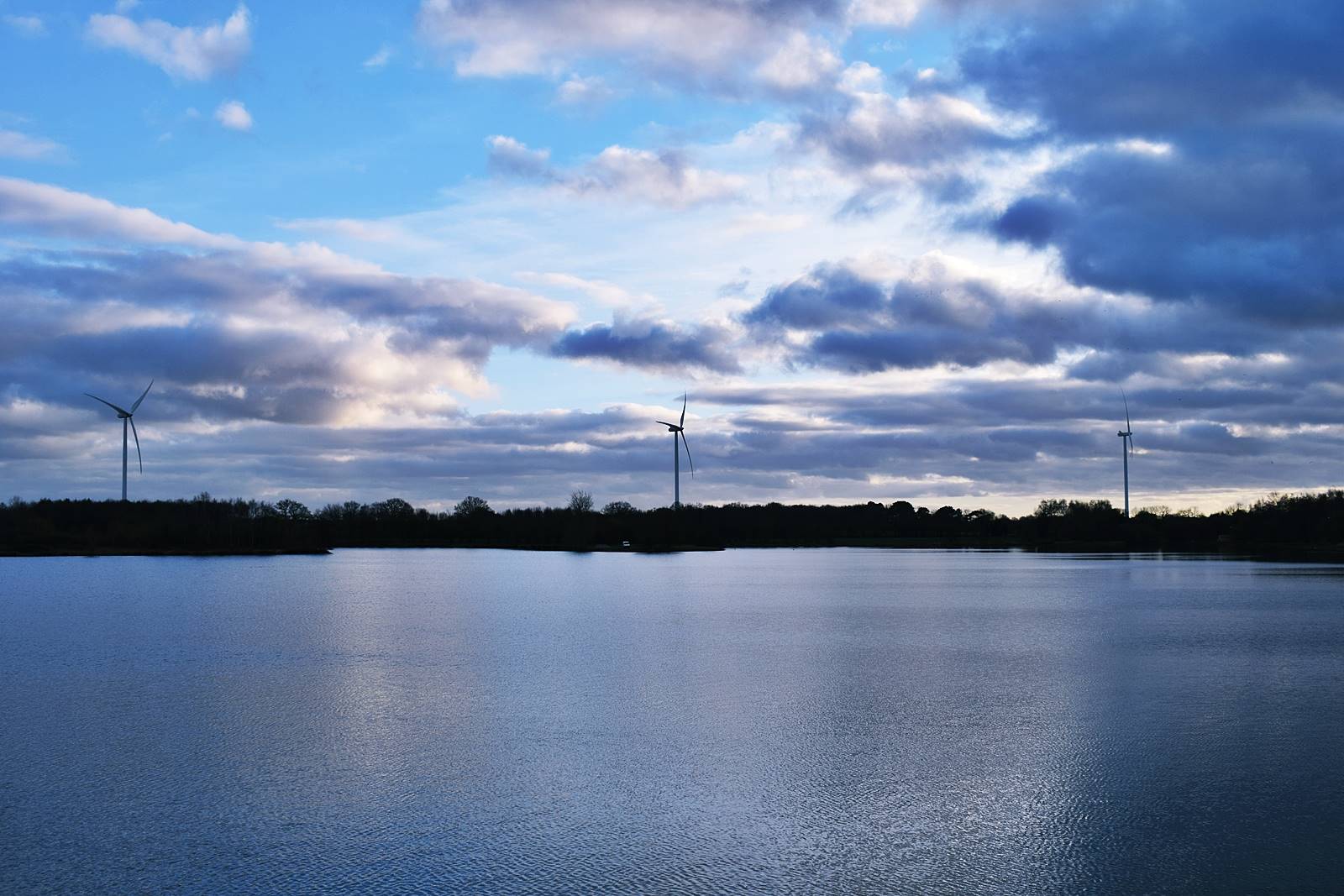 Charlotte mason nature sortie balade ief homescooling 2