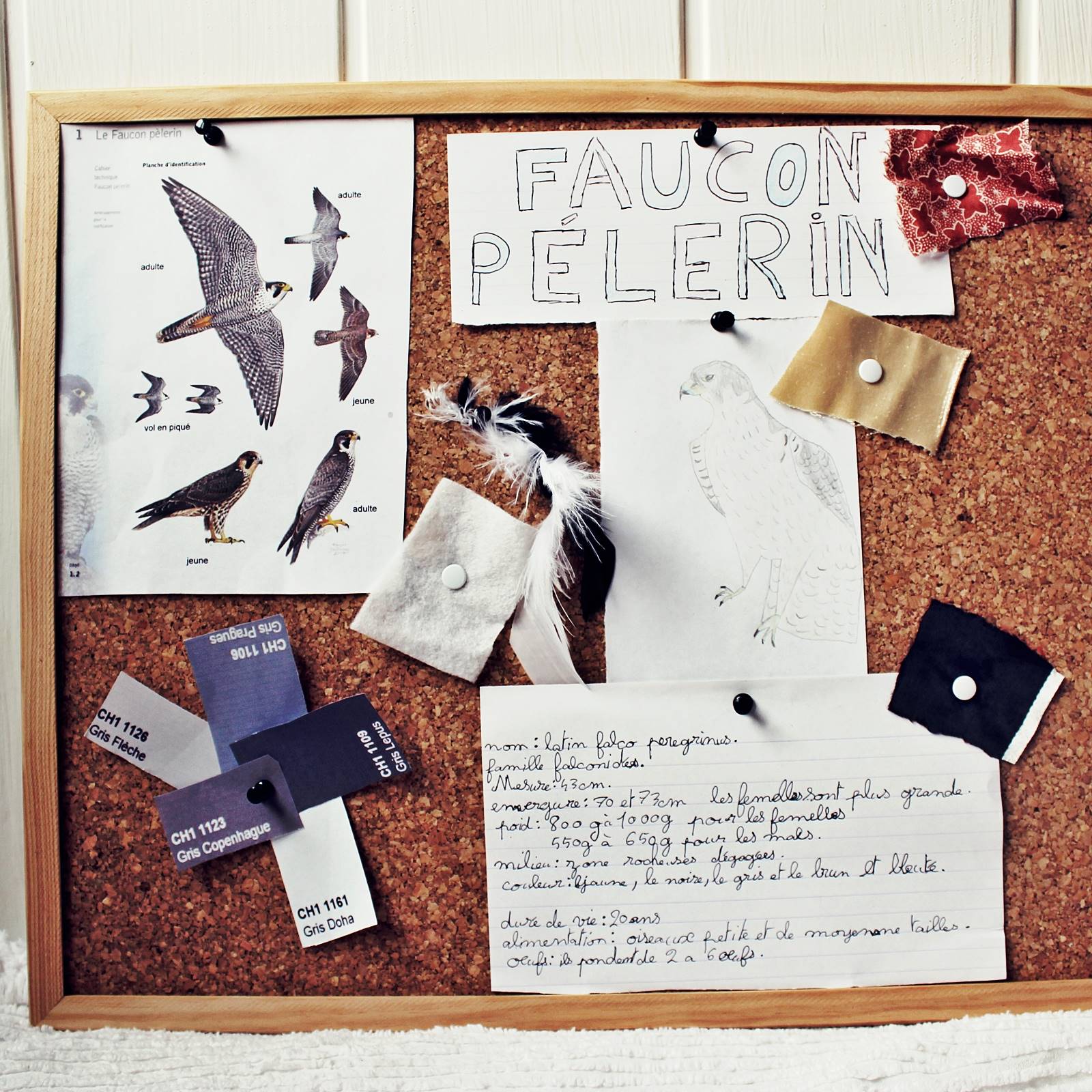 Comment faire un expose 10