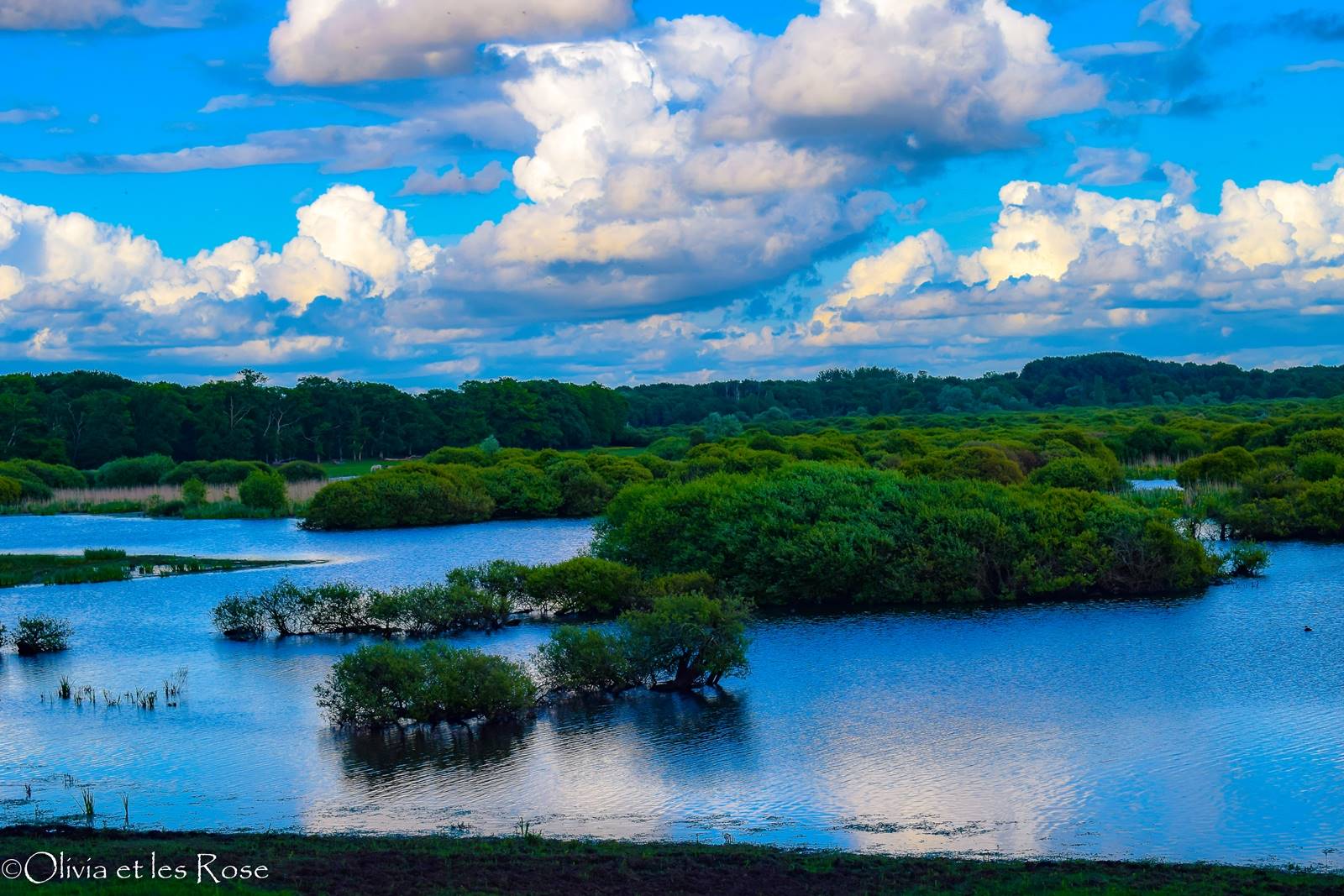 Soiree blogueur grand lieu 12