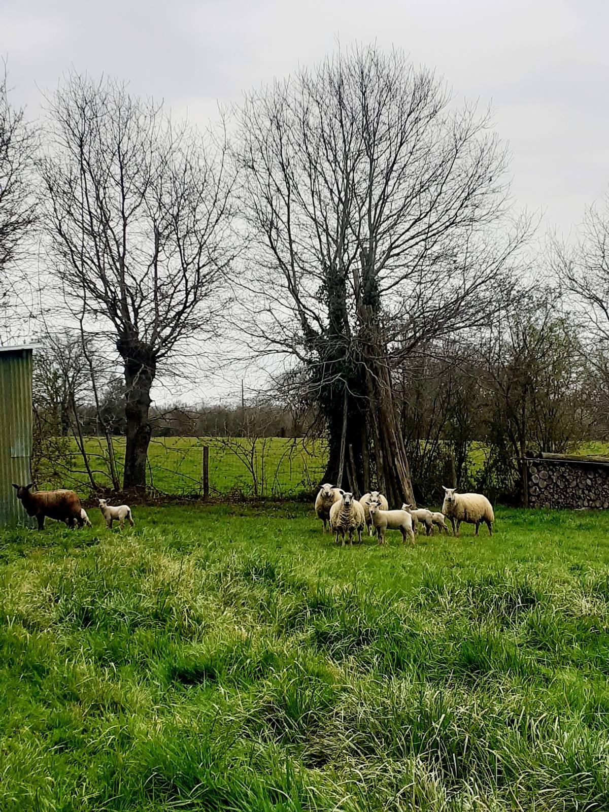 15km randonnee chateaubriant20210321 175220