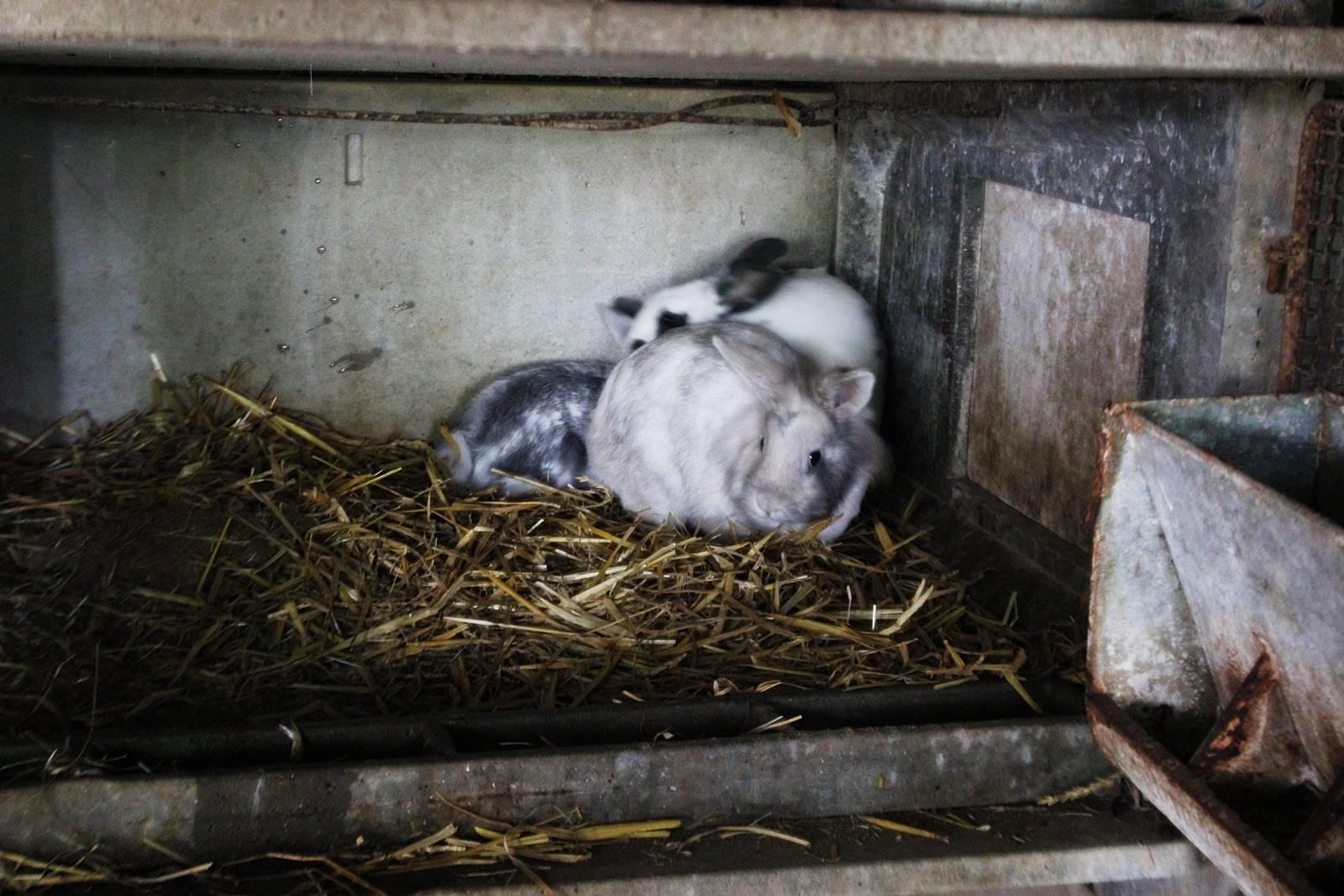 camping viotterie mayenne