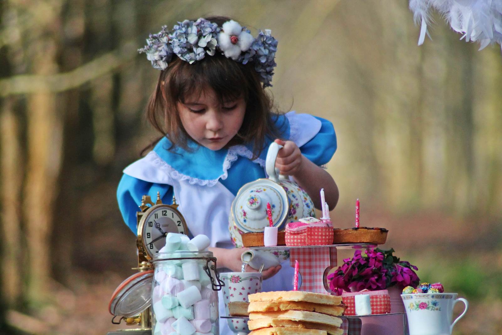 Anniversaire alice pour 15 euros 12