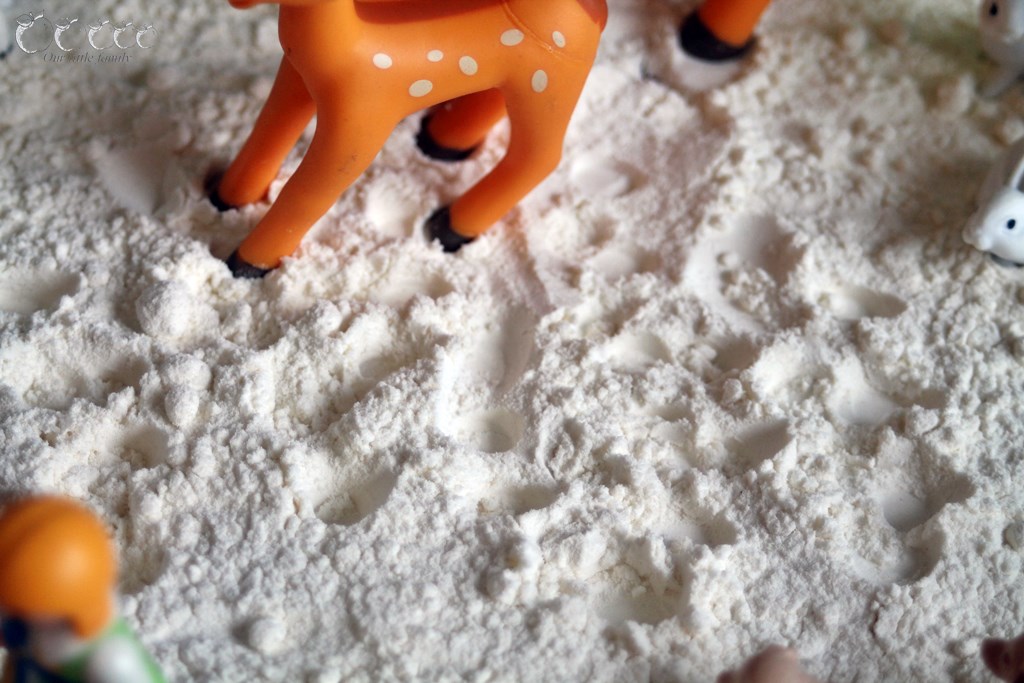 Bac sensoriel laponie 6