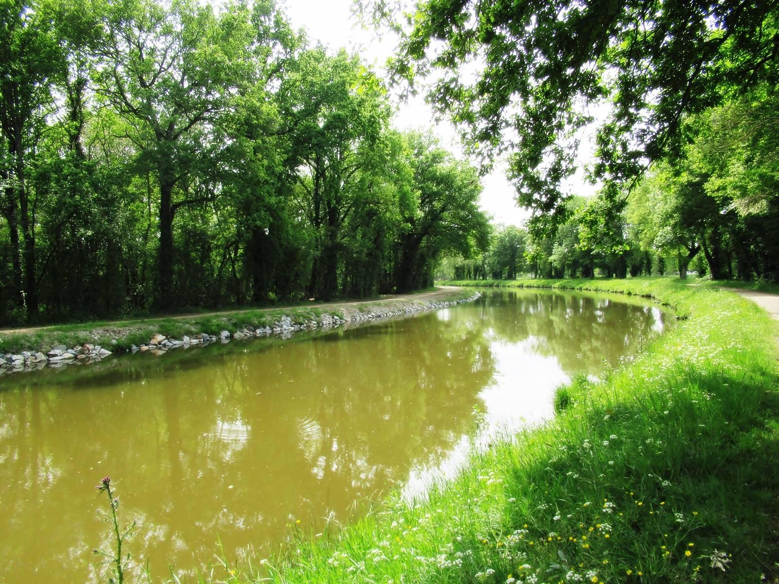 Baludik saffre loire atlantique19