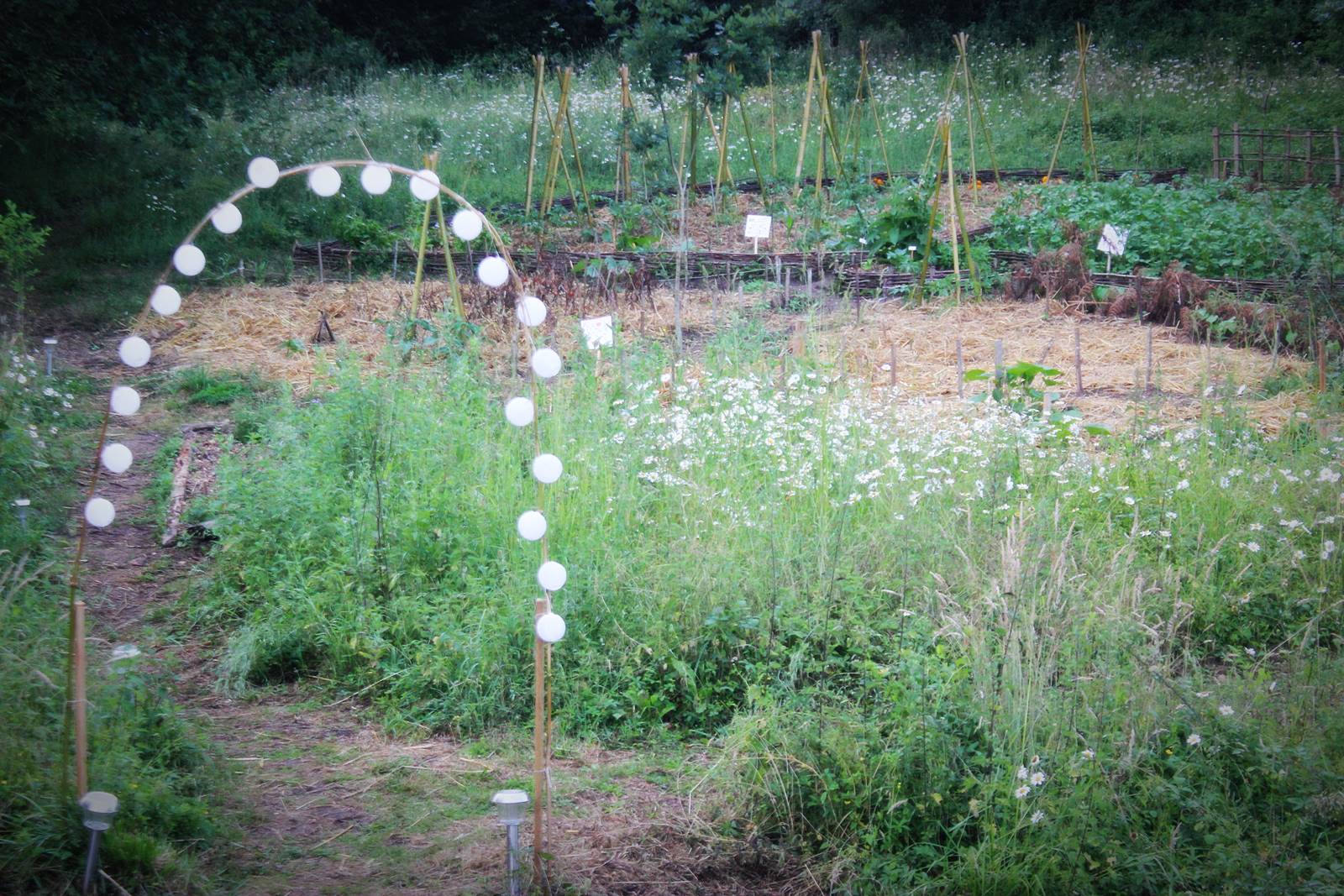 Blog la cueilleuse nort sur erdre loire atlantique 8