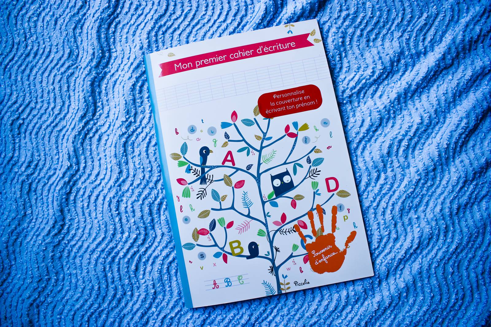 Blog manuelle livre scolaire ief homescooling 8