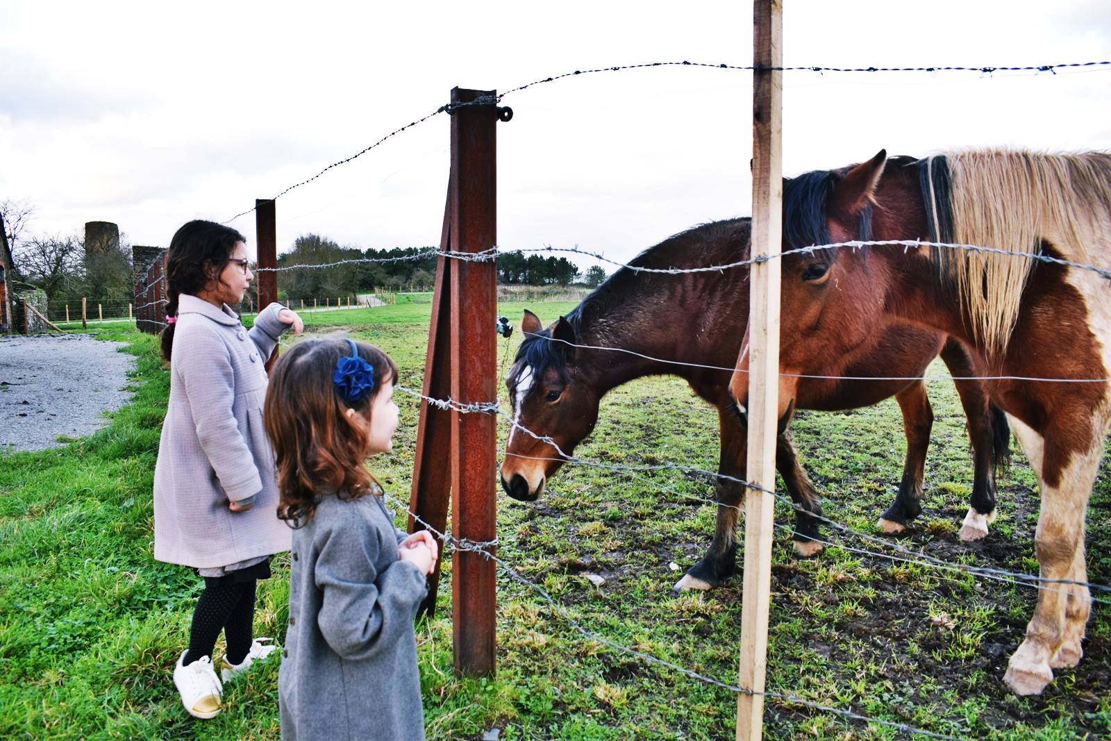 Charlotte mason nature sortie balade ief homescooling 6