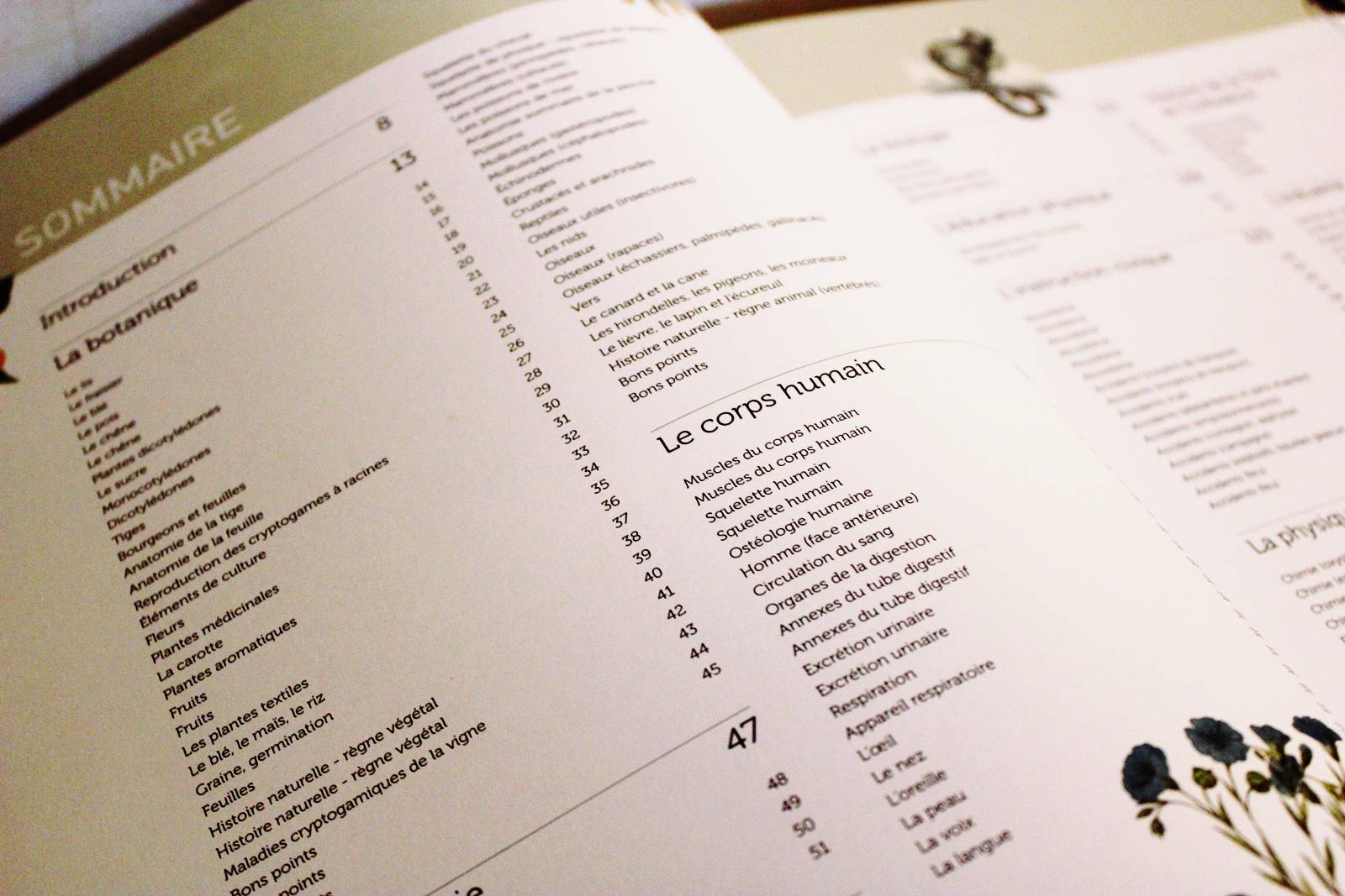 Deyrolle lecon de choses tome 2 7