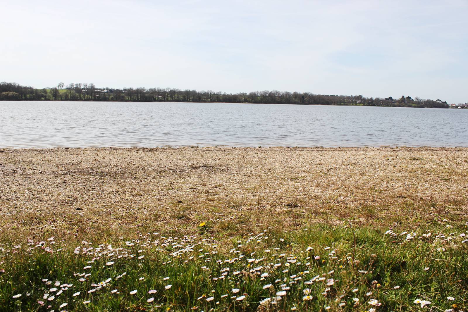 Etang de vioreau loire atlantique 1