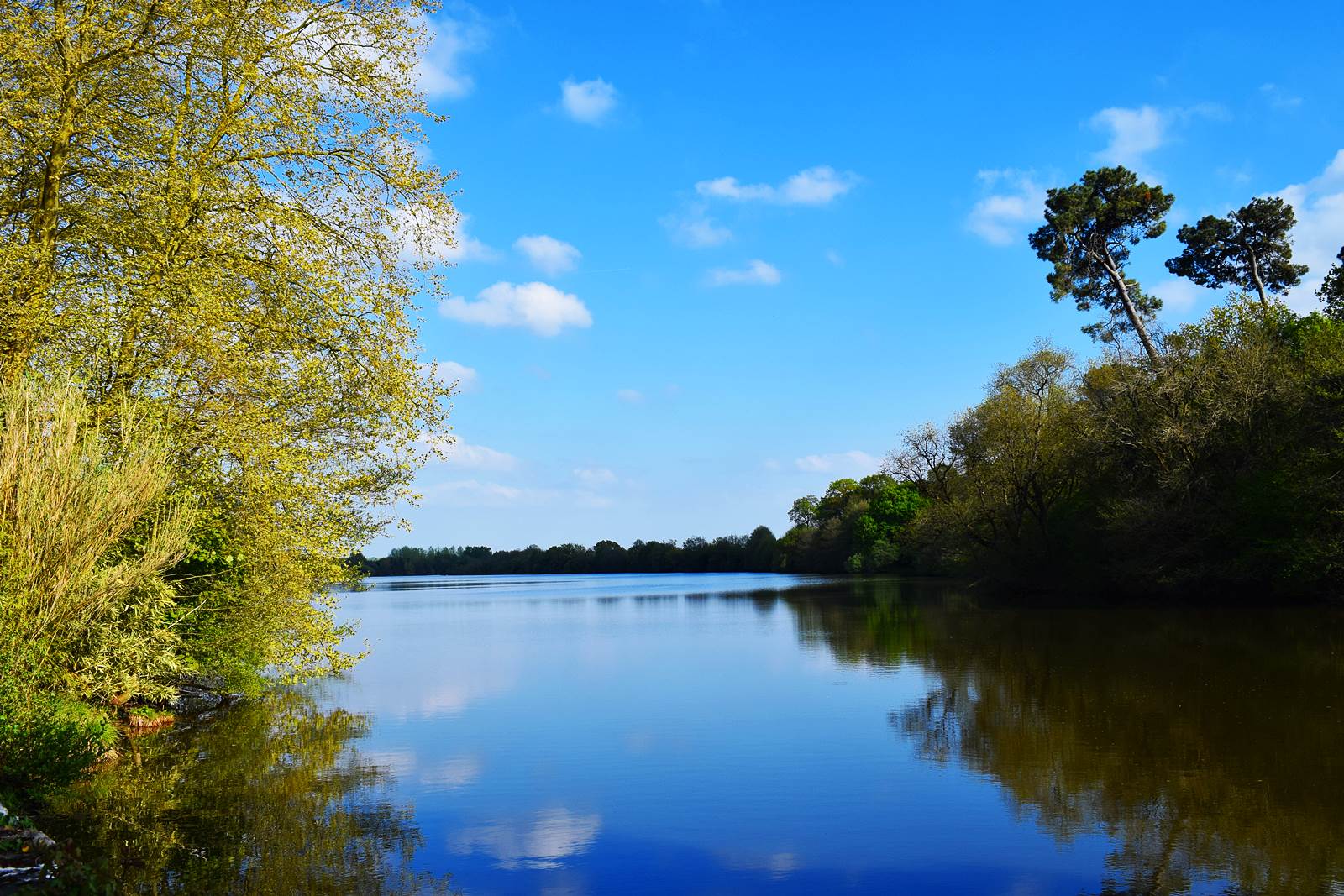Forges de la hunaudiere 17