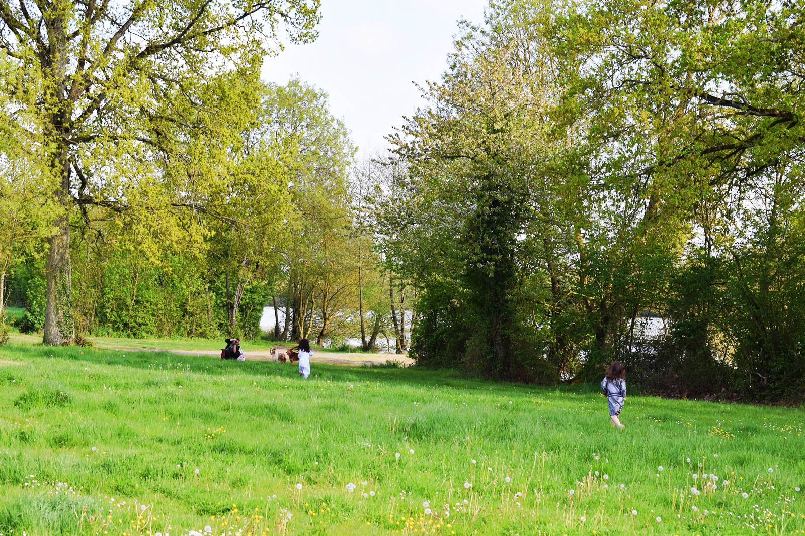 Forges de la hunaudiere 22