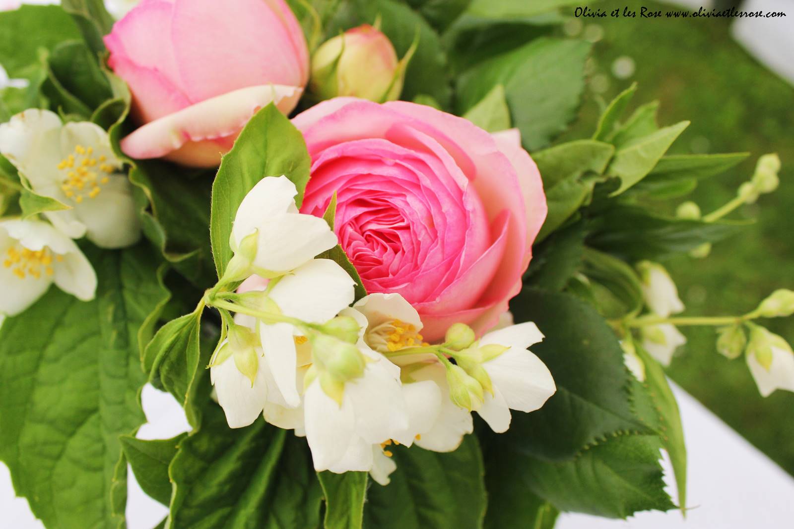 Garden party deco avenue 34