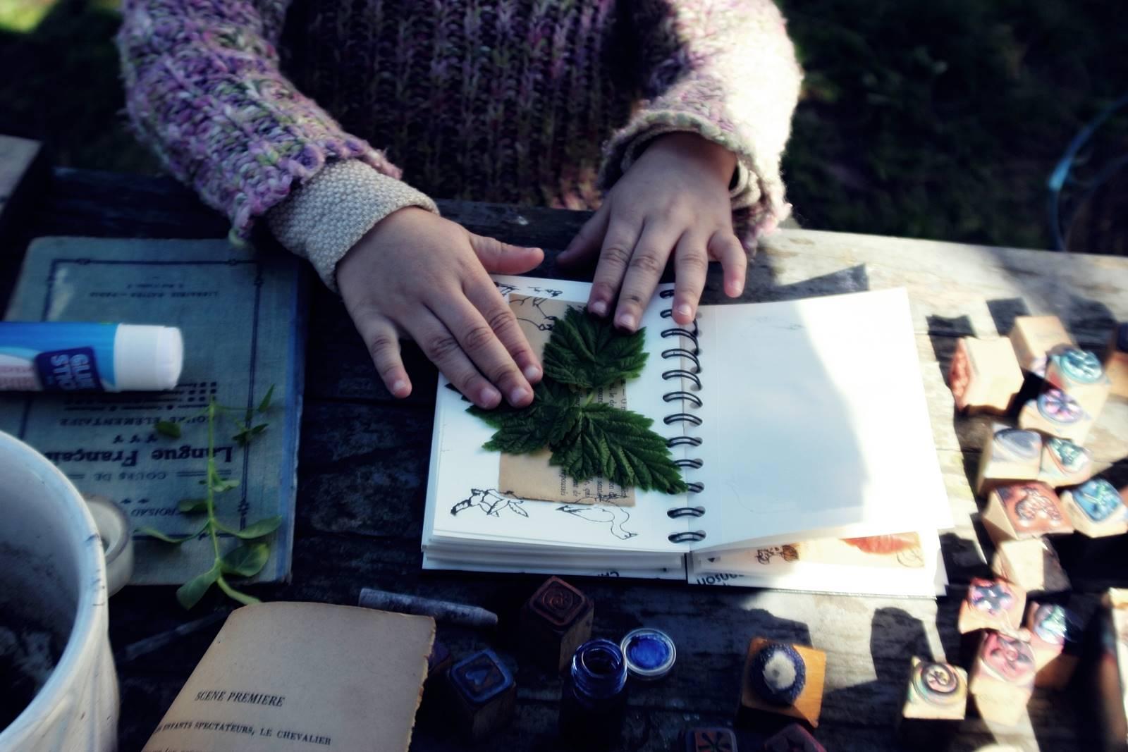 Herbier nene vintage 13