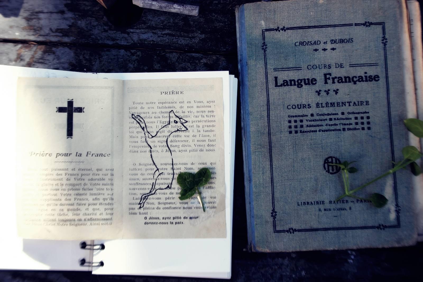 Herbier nene vintage 18