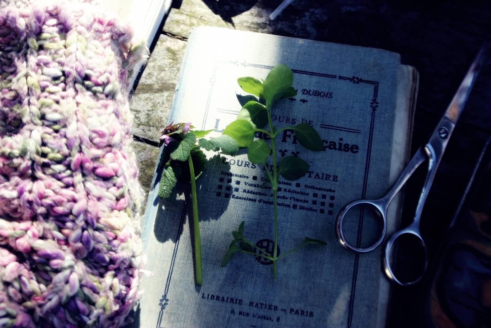 Herbier nene vintage 8