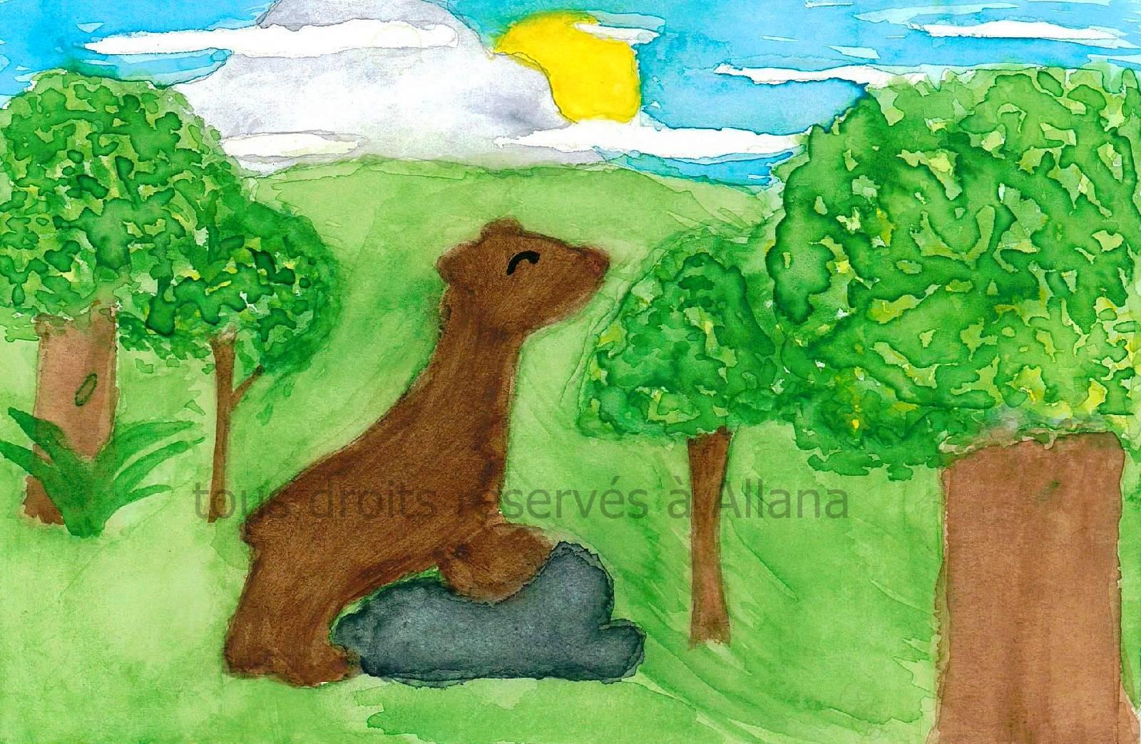 Illustrations allanaimg41couleur