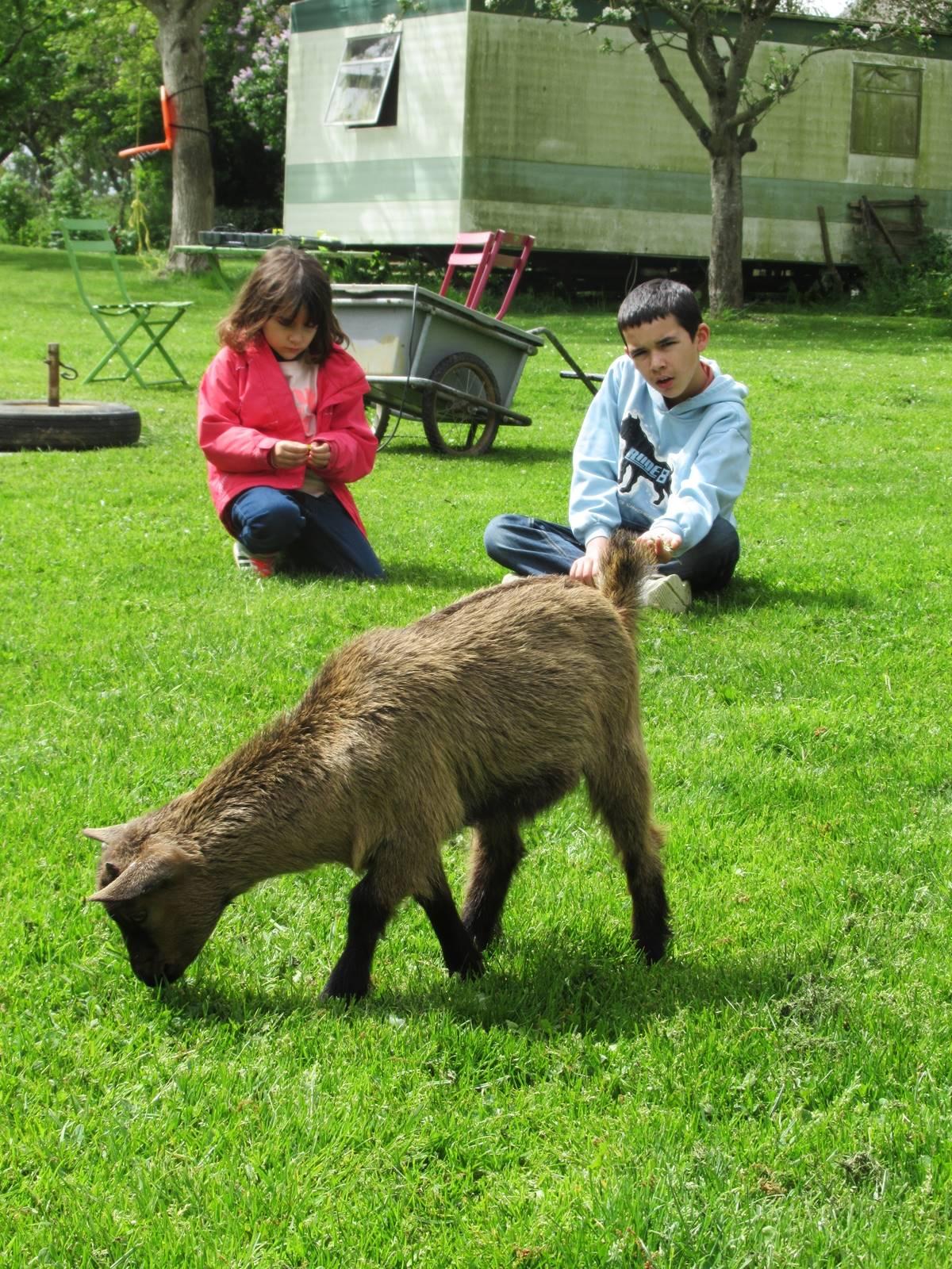 camping viotterie mayenne