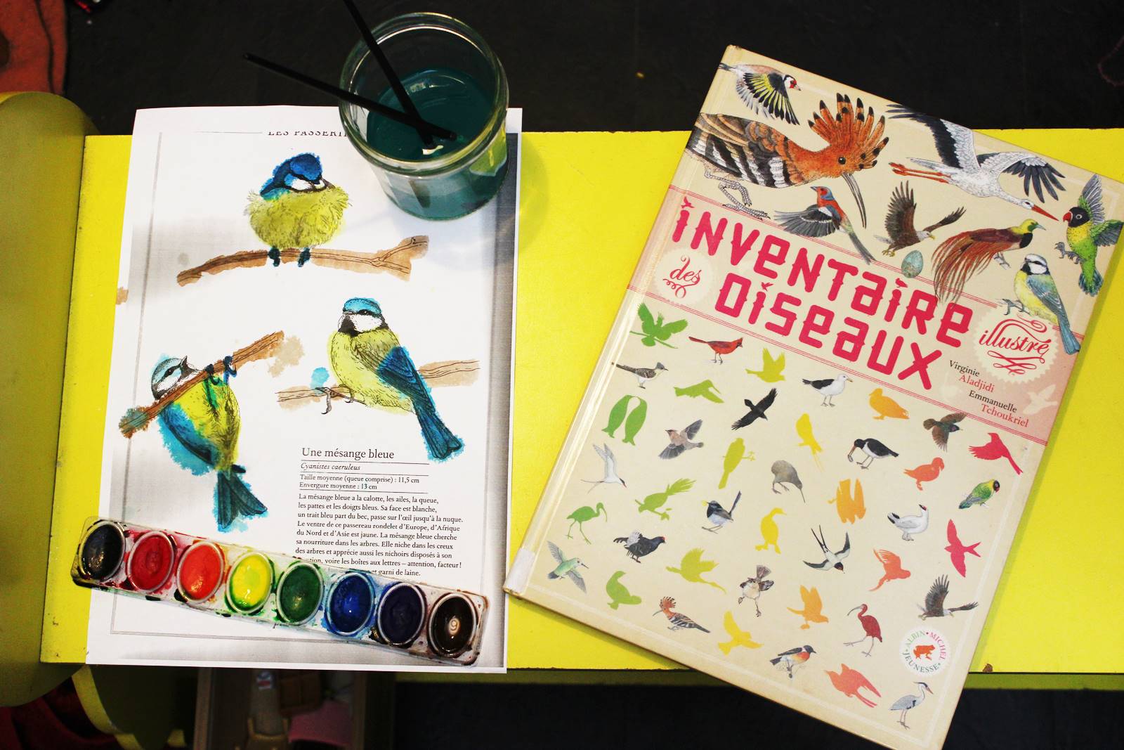 Inventaires oiseaux mesanges albilm michel