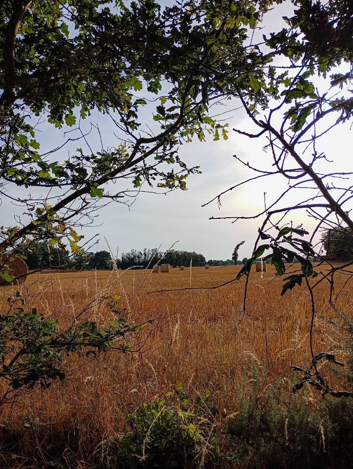 Itineraire regalante nort sur erdreimg 20250624 193748