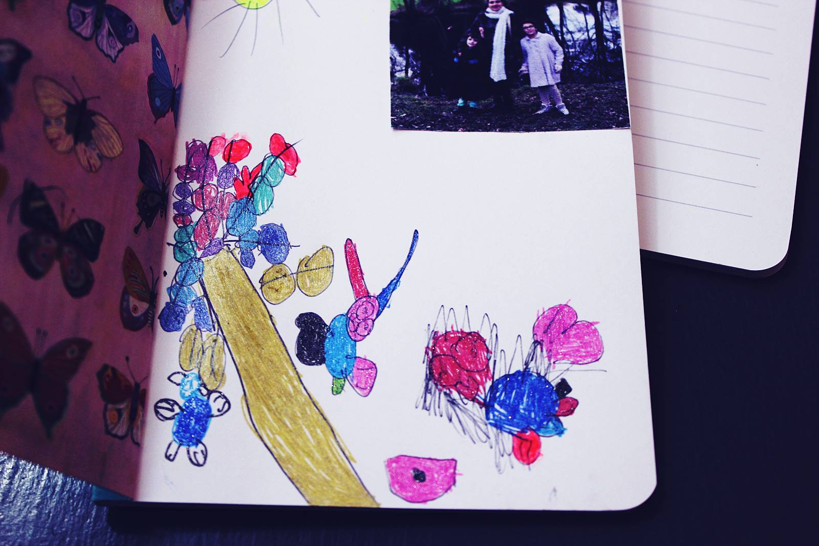 Journal de la nature charlotte mason pedagogie ief homescooling 3