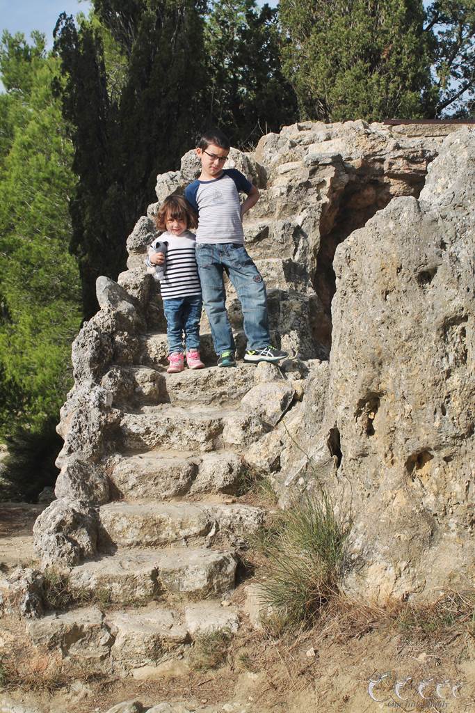 L oppidum d enserune 7