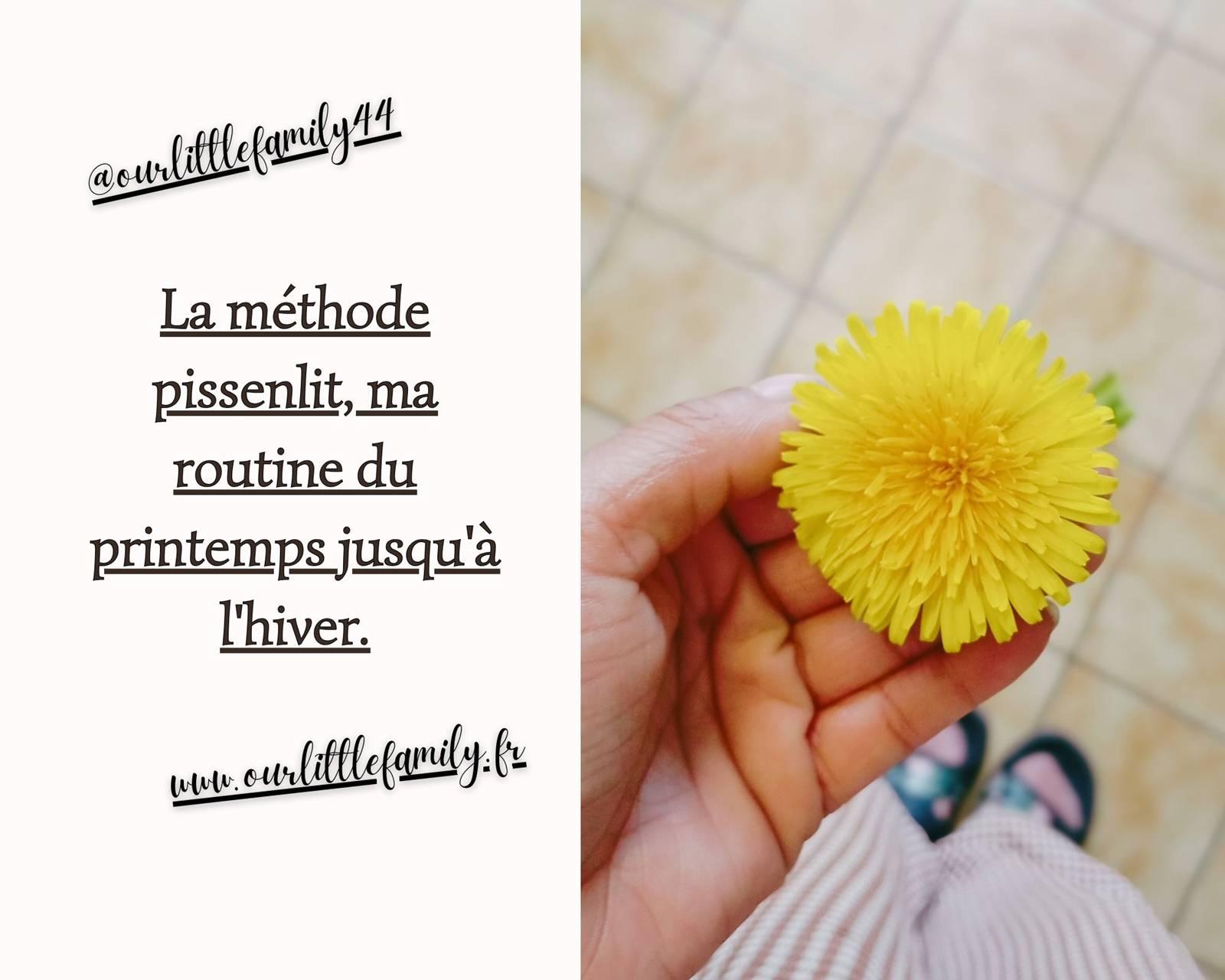 La methode pissenlit ma routine du printemps jusqu a l hiver