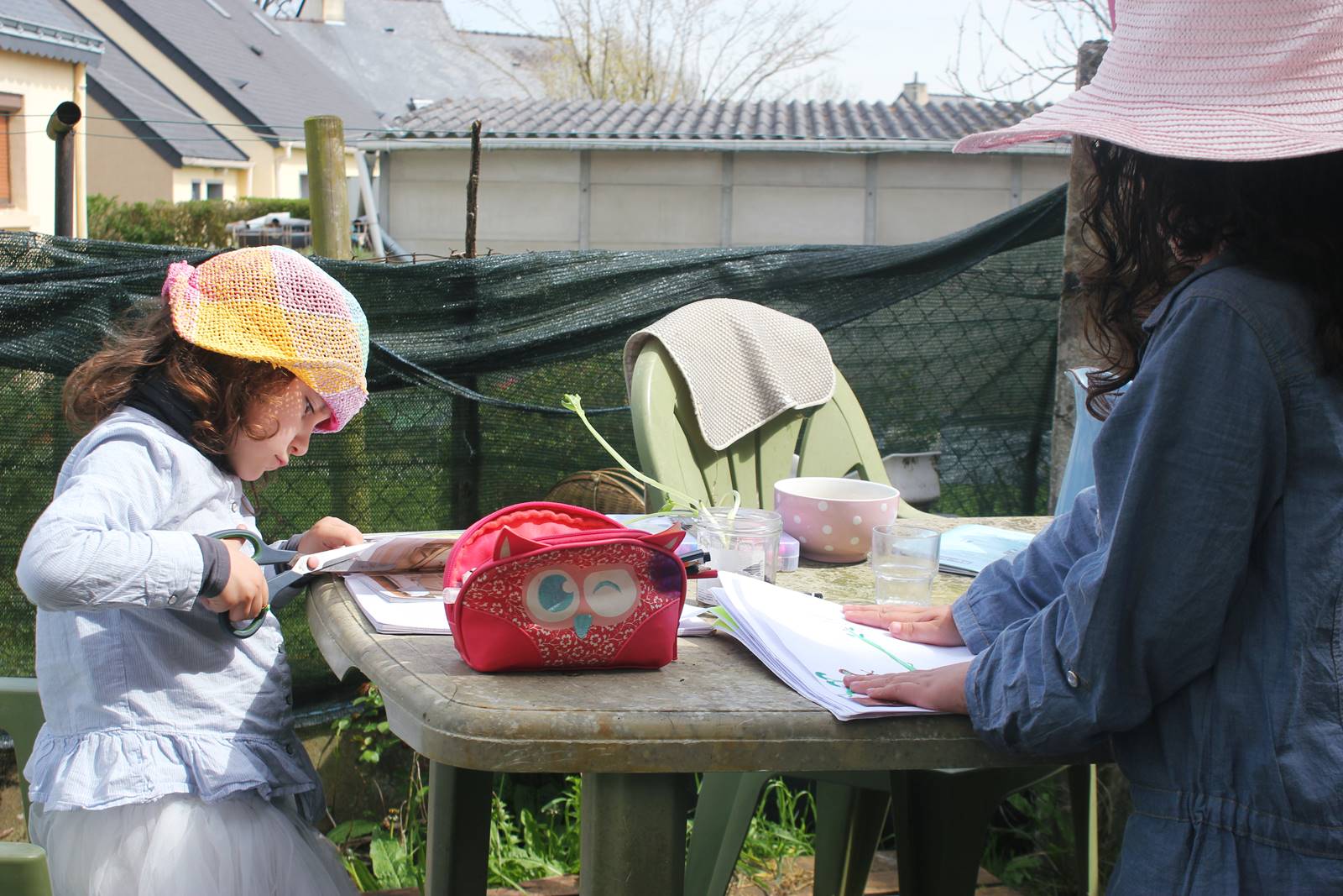 Lapbook germination haricot ief 6