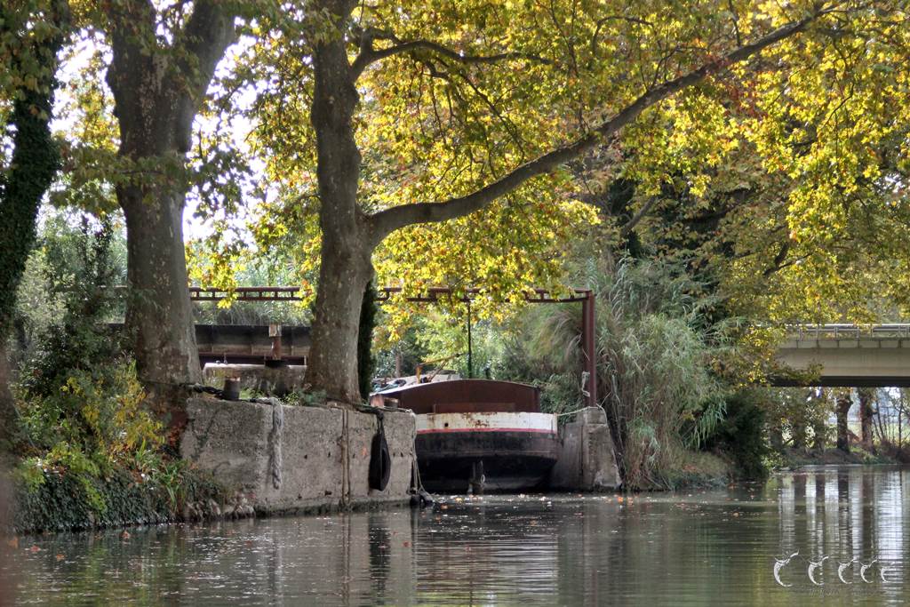 Les barques du midi beziers 9