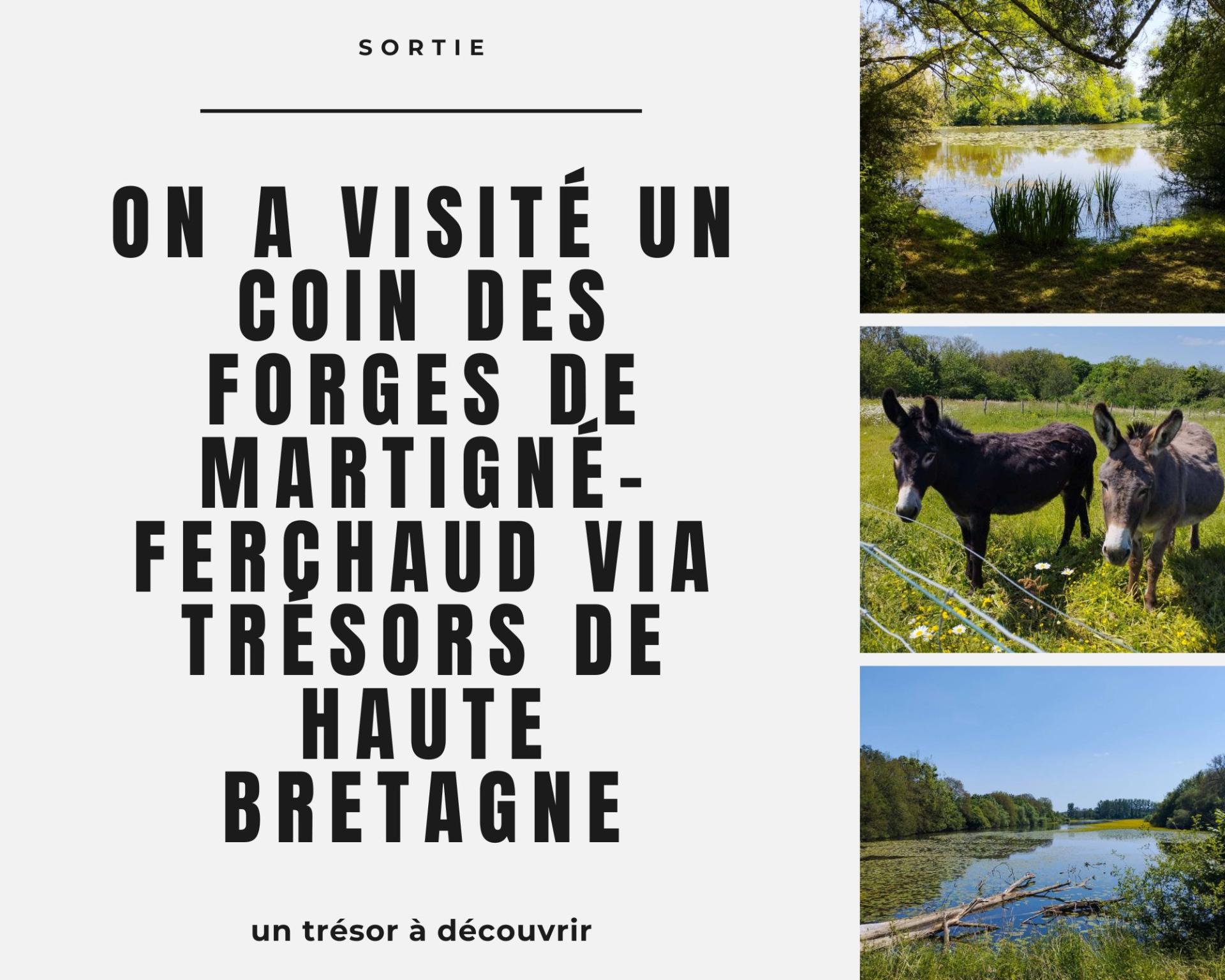 On a visite un coin des forges de martigne ferchaud via tresors de haute bretagne