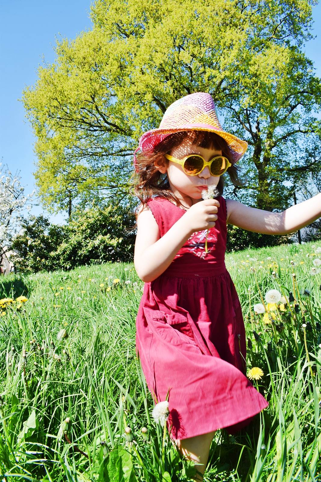 Opal eleven paris lunettes 2