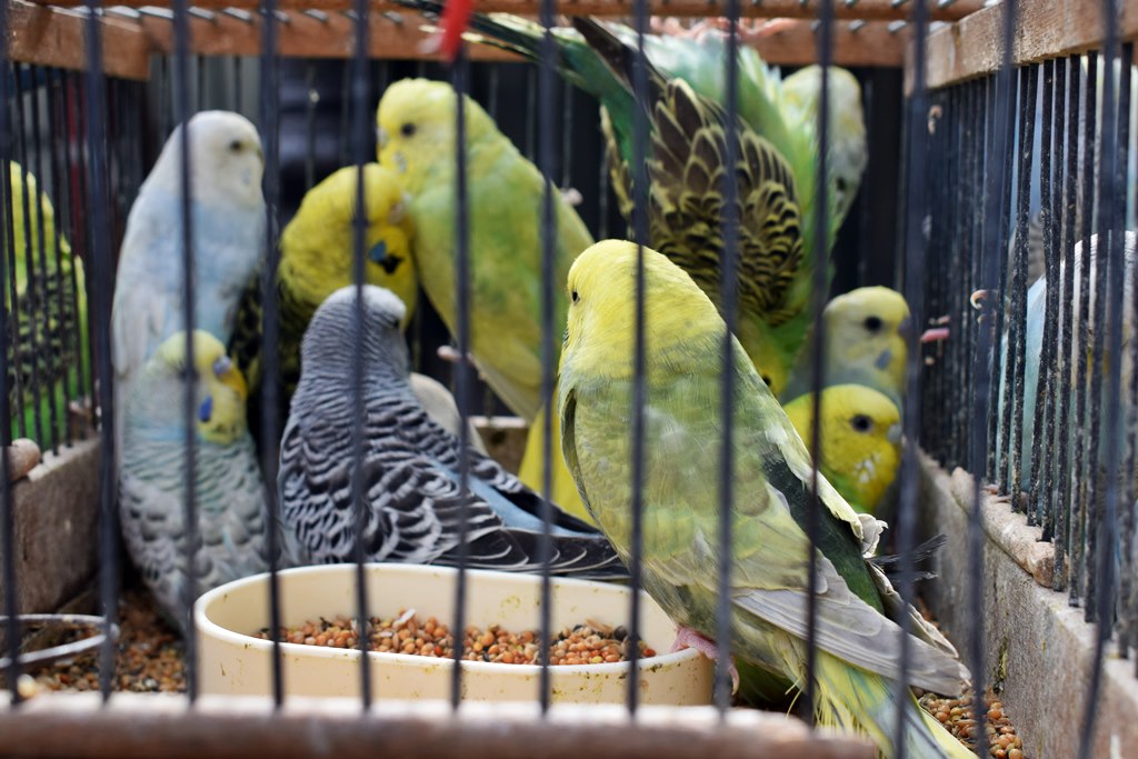 Paris en 24h isilines 15