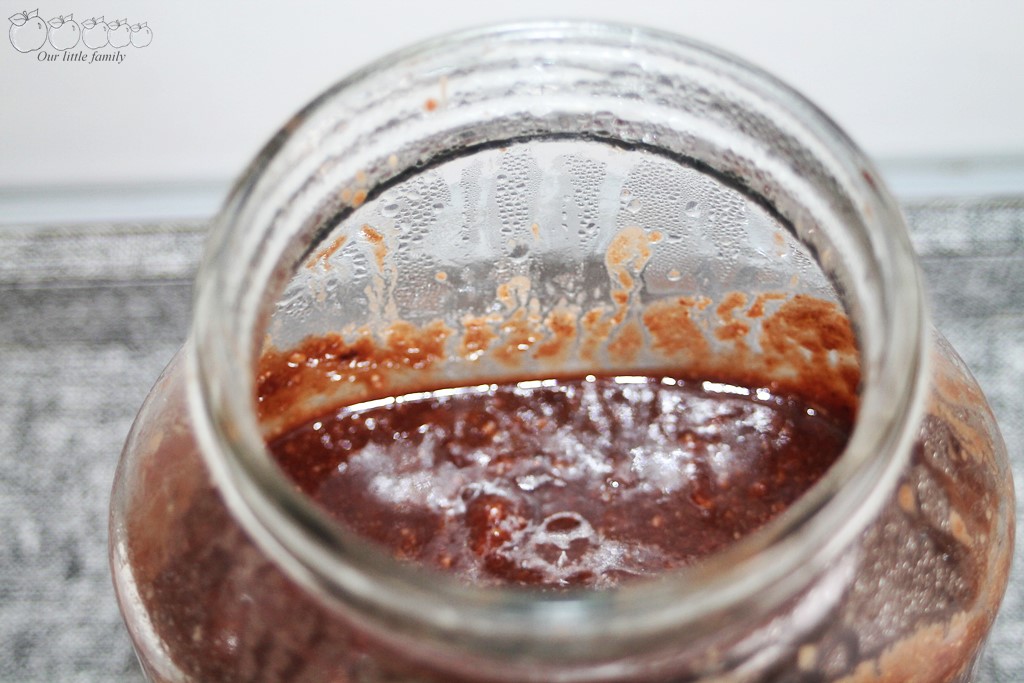 Pate a tartiner kefir 5