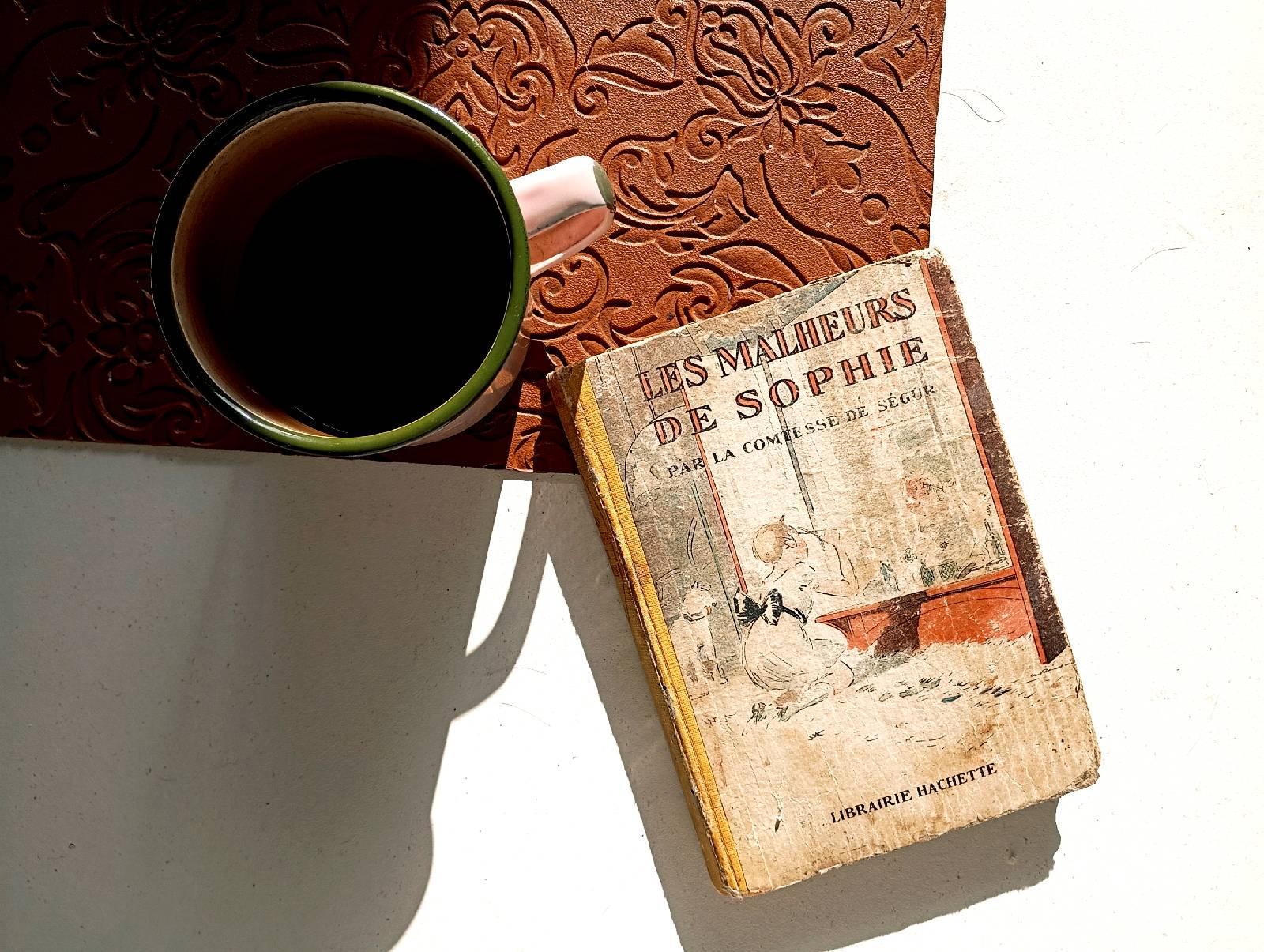 Pedagogie olivia1000020624