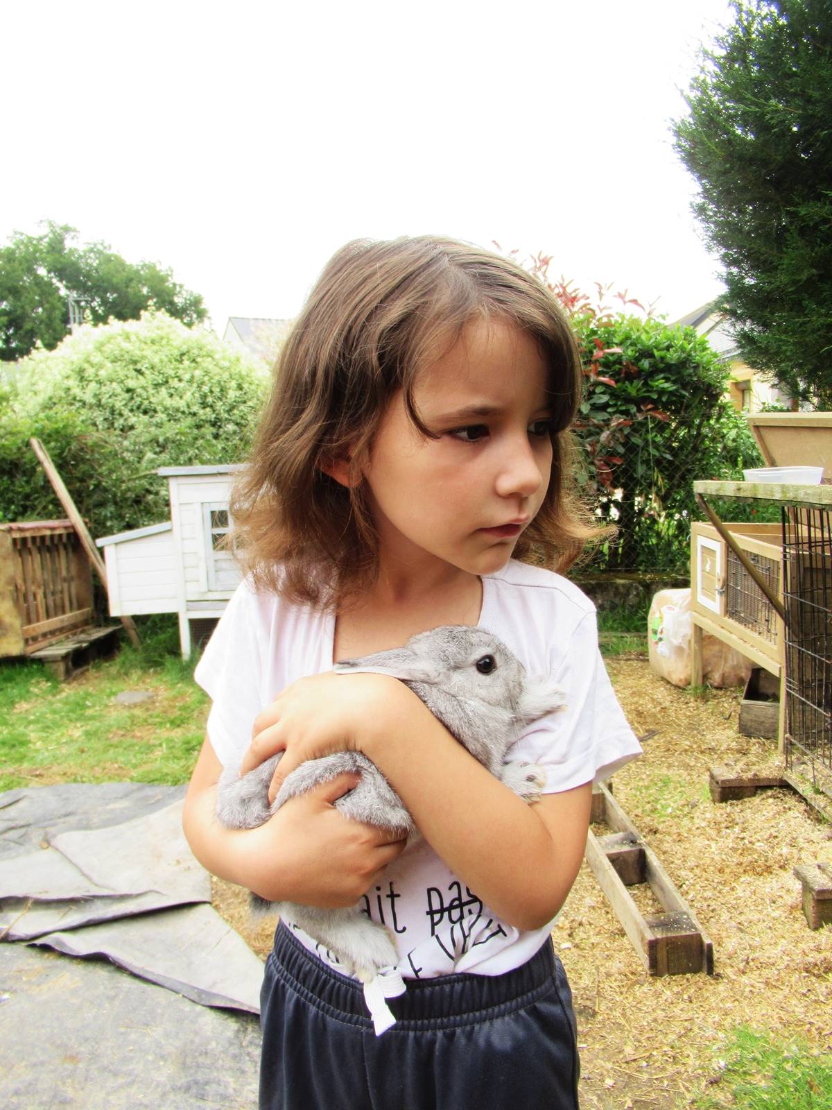 Potager mini ferme ief3