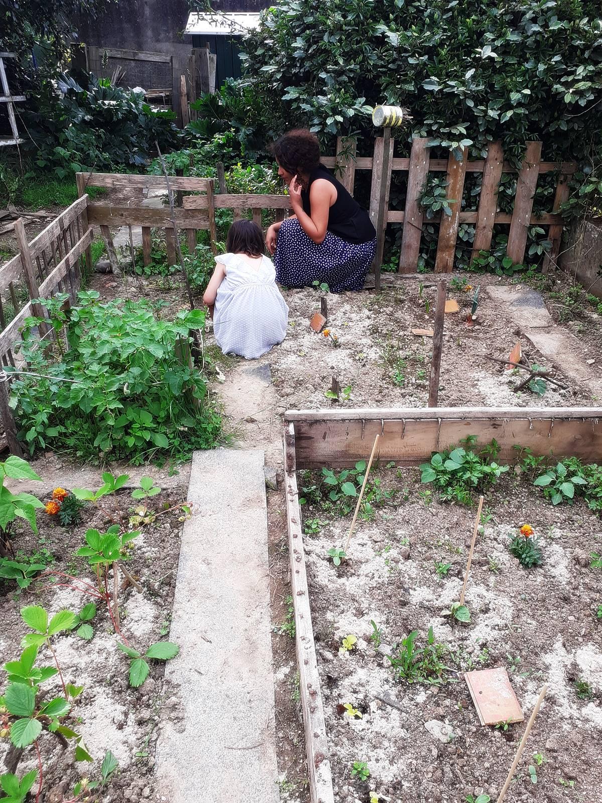 Recette du cake a la blette du jardin20200510 181809