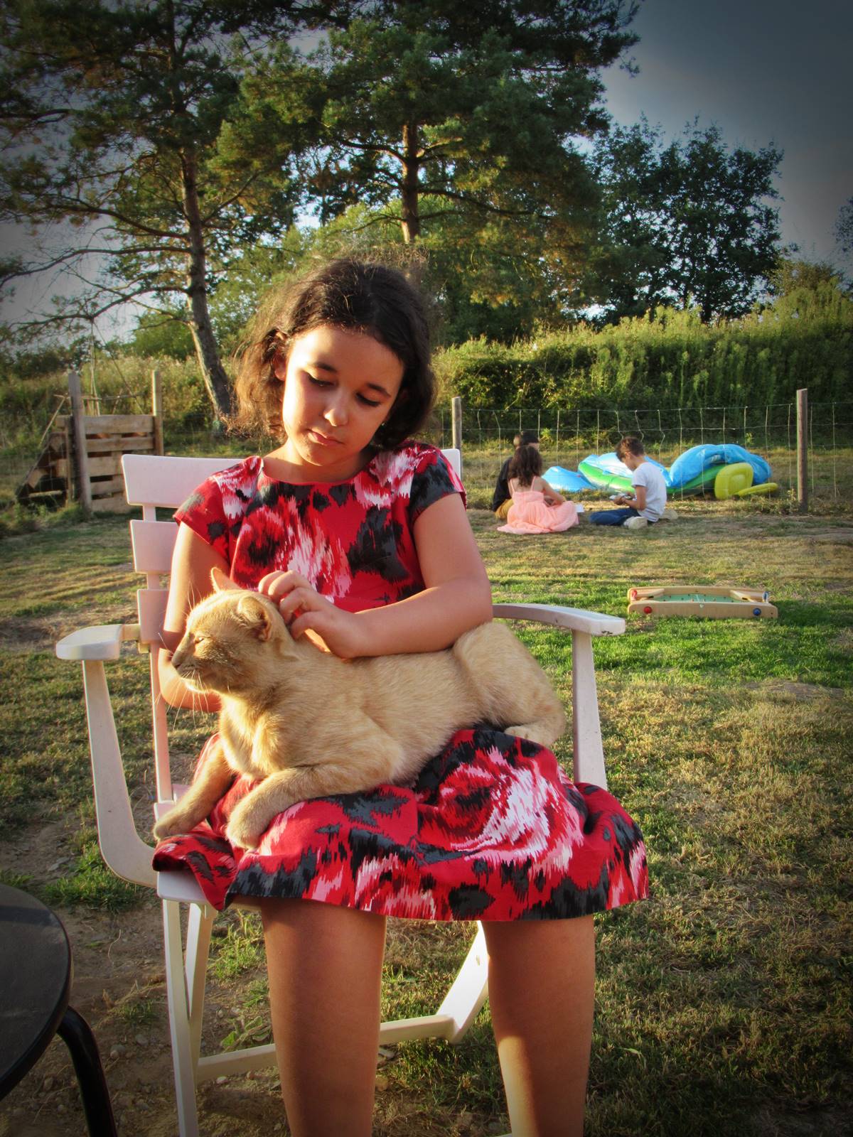 Rose indigo test article 4