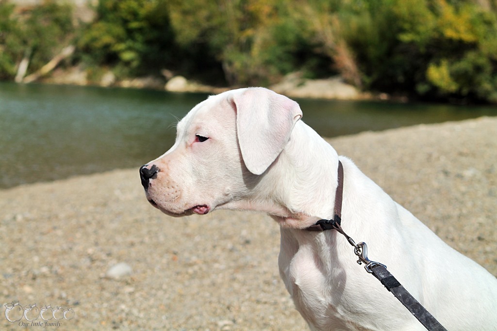 Saint guilhem le desert 3