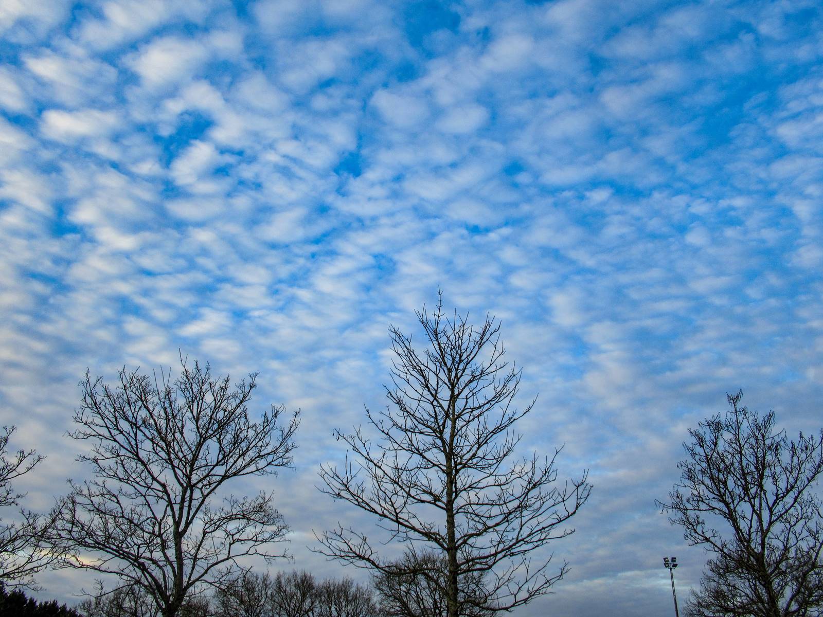 Sentier saint vincent des landesimg 7724