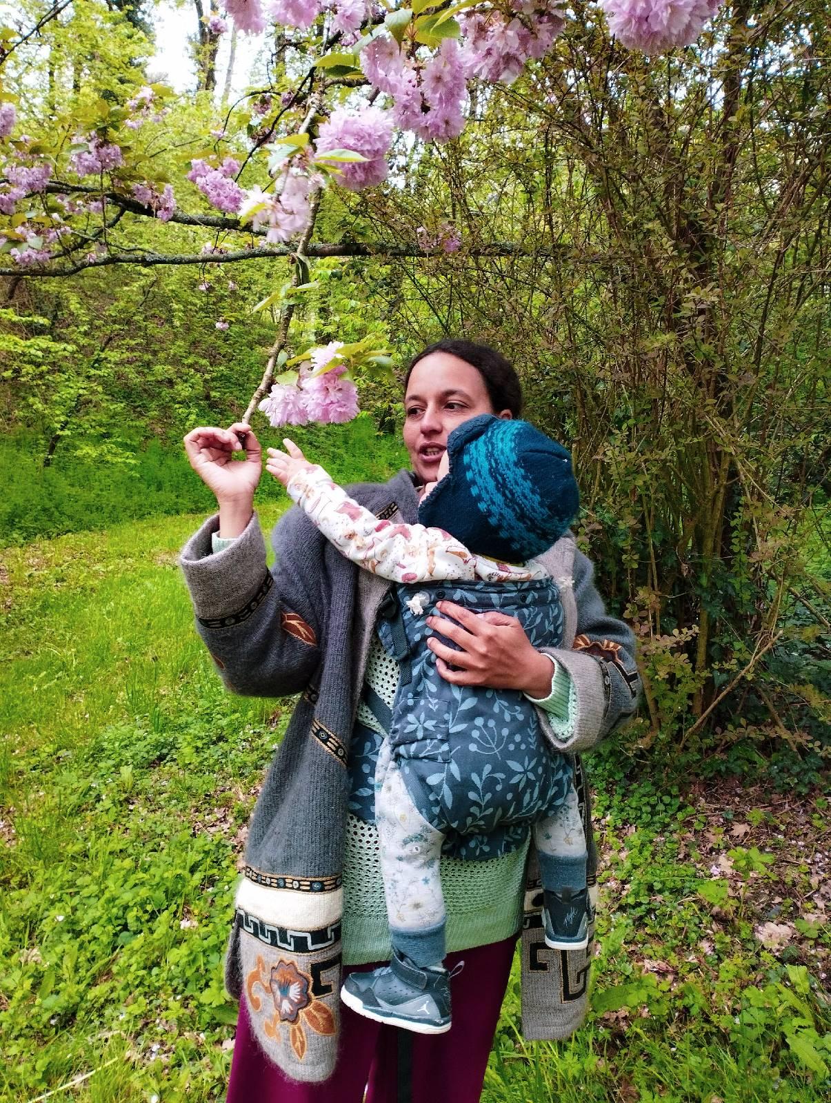 Sortie botanique derval chateaubriant1682507222043