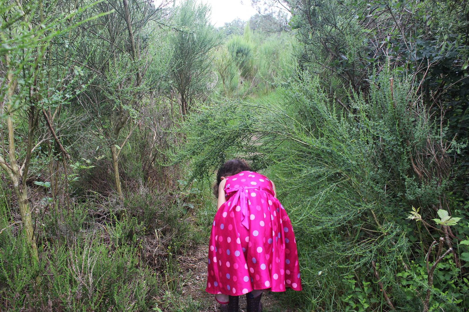 Sortie gratuite moisdon la riviere 13