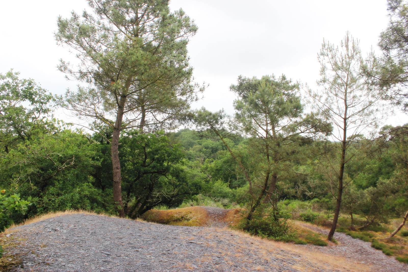 Sortie gratuite moisdon la riviere 6