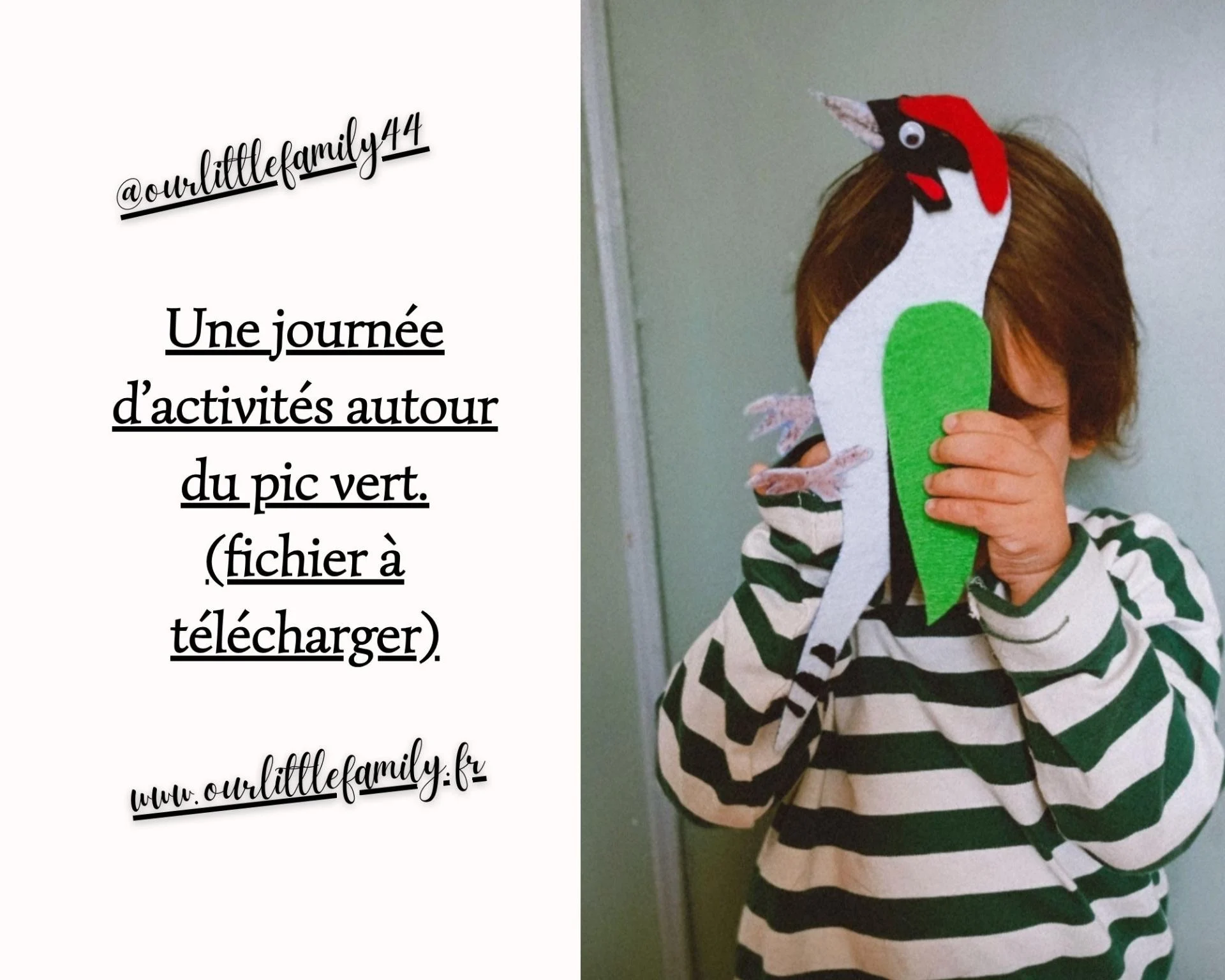 Une journee d activites autour du pic vert fichier a telecharger