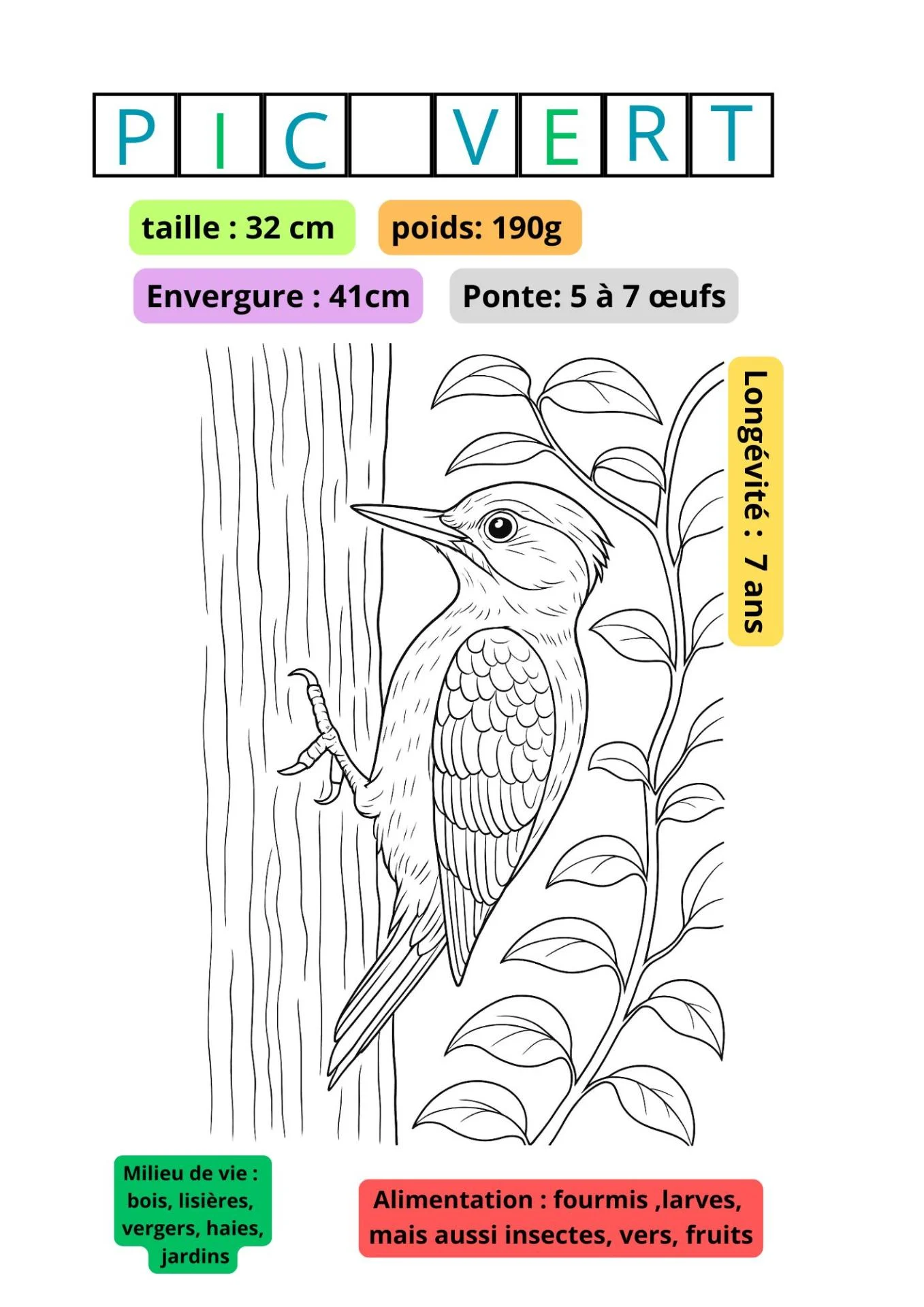 Votre texte de paragraphe